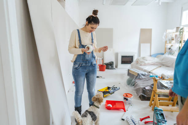 Best Drywall Installation  in Monroe, MI